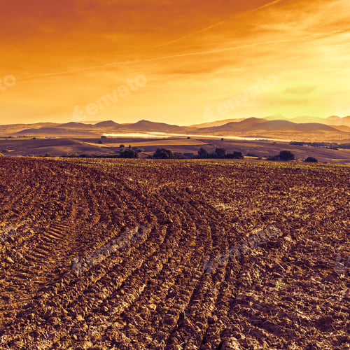 Preview: Fields In Spain After Harvesting At Sunrise. Breathtaking Landscape And Nature Of The Iberian