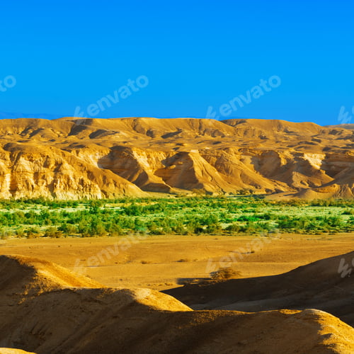 Preview: Green Plants And Rocky Hills Of The Negev Desert In Israel