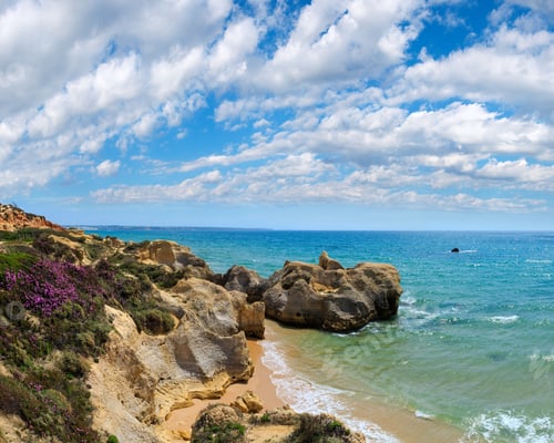 Preview: Summer Blossoming Atlantic Rocky Coast View With Purple Flowers And Narrow Sandy Beach (Albufeira