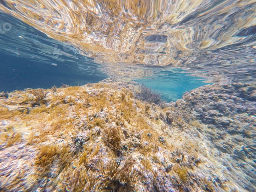 Preview: Underwater Image Moraira Beach Alicante Province Spain Mediterranean Sea