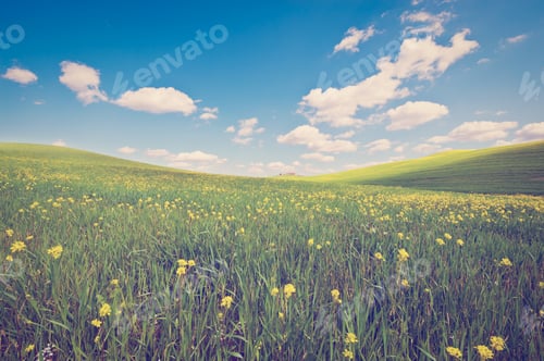 Preview: Farmhouse And Green Sloping Meadows Of Tuscany, Instagram Effect