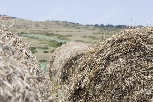 Preview: Hay Bales On A Field Teruel Aragon Spain