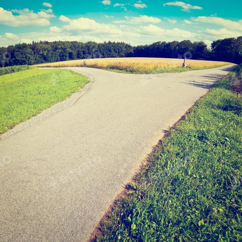 Preview: Asphalt Path Between Corn And Wheat Fields In Bavaria, Germany, Instagram Effect