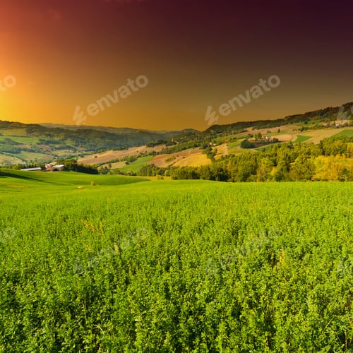 Preview: The Italian Farmhouses Surrounded By Green Fields, Sunrise, Instagram Effect