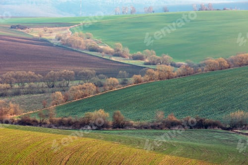 Preview: Spring Morning Rural Country Landscape With Plowed Agricultural Fields On Hills, Trees And Groves
