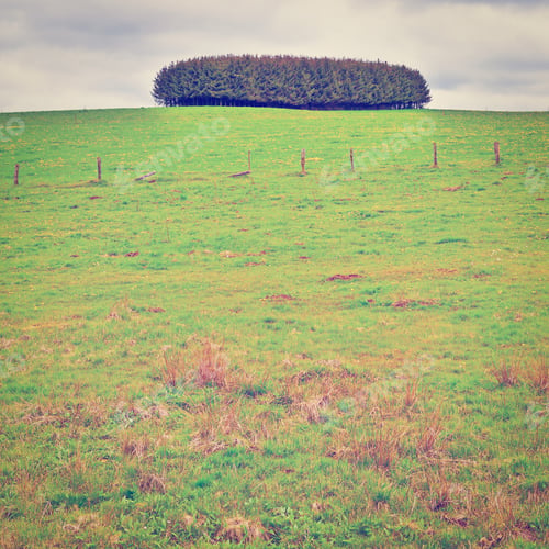 Preview: Green Landscape Of Belgium, Instagram Effect