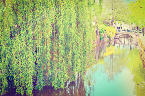 Preview: Plants On The Embankment Of The Canal In The Dutch City Of Amersfoort, Retro Effect