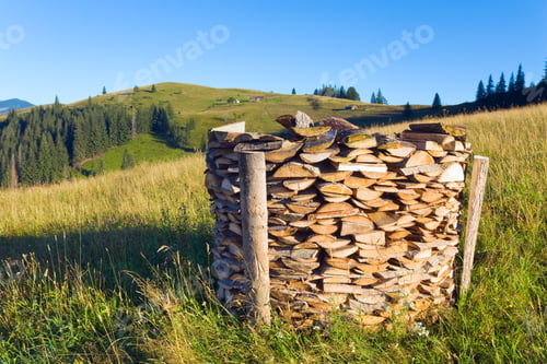 Preview: Firewood Stack On Summer Mountain Farmyard (Carpathian, Ukraine)