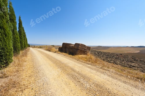 Preview: Stubble Fields On The Hills Of Tuscany. Tuscany Landscape After Harvest. Dirt Road Lined With