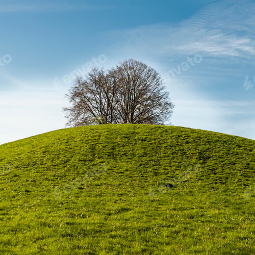 Preview: Swiss Landscape With Forests And Meadow Early In The Morning. Agriculture In Switzerland, Fields
