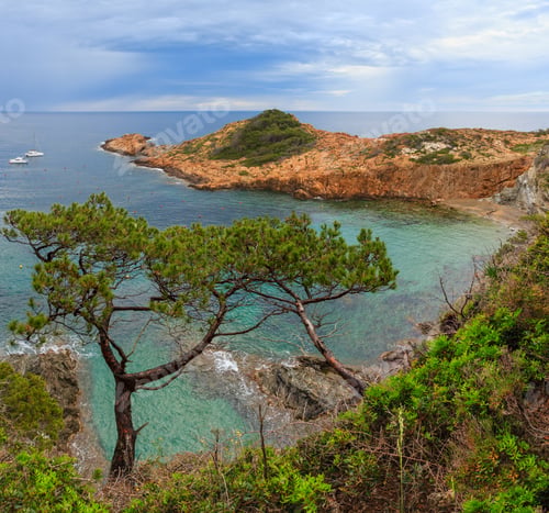 Preview: Sea Bay Summer View With Conifer Trees In Front. Costa Brava, Catalonia, Spain. Two Shots Stitch