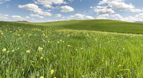 Preview: Italian Landscape With Meadows Early In The Spring. Agriculture In Italy, Fields, Pastures And