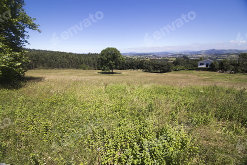 Preview: Landscape In Ruente Village In Cantabria Spain