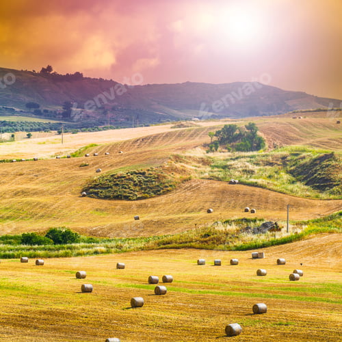 Preview: Wheat Fields On The Background Of Sicilian Hills At Sunrise. Landscape With Straw Bales After
