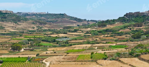 Vista previa: Rural Landscape With Fields And Vineyards On Maltese Island Gozo.