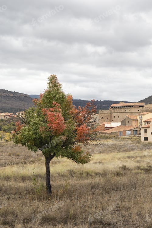 Preview: Autumn Landscape With Yellow Leaves Gudar Mountains Teruel Aragon Spain. Mora De Rubielos Village.