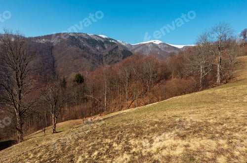 Preview: Early Spring Carpathian Mountains Plateau Landscape With Snow-Covered Ridge Tops In Far, Ukraine.