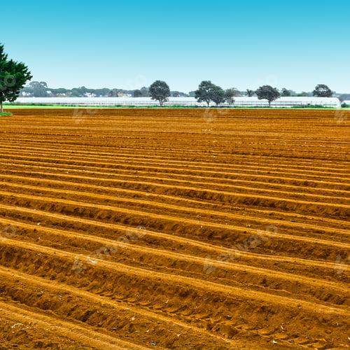 Preview: Plowed Fields On The Background Of Greenhouse In Italy