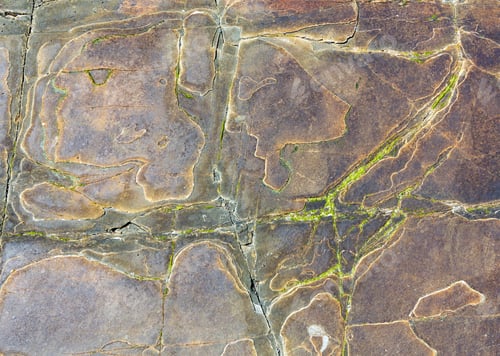 Preview: Stony Background Macro With Interesting Abstract Tracery (Brown With Yellow Vein.