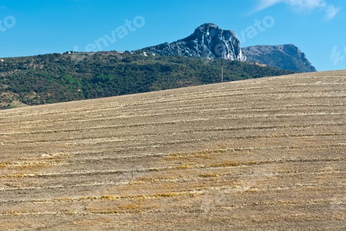 Preview: Olive Groves And Plowed Sloping Hills Of Spain In The Autumn