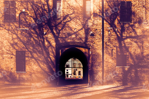 Preview: Whimsical Shade Of Trees In The Courtyard Of The Duke Of Gonzaga'S Palace In Mantua At Dawn In A