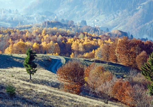 Preview: Rural Road In Autumn Misty Mountain And Colorful Trees On Slope.