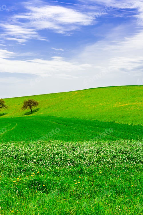 Preview: Flowering Trees Surrounded By Sloping Meadows In Switzerland