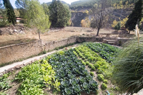 Preview: Home Orchard In Rubielos De Mora Village Teruel Aragon Spain