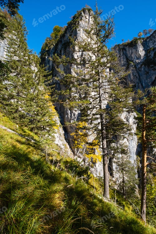 Preview: Sunny Idyllic Colorful Autumn Alpine Scene. Peaceful Rocky Mountain View From Hiking Path Near
