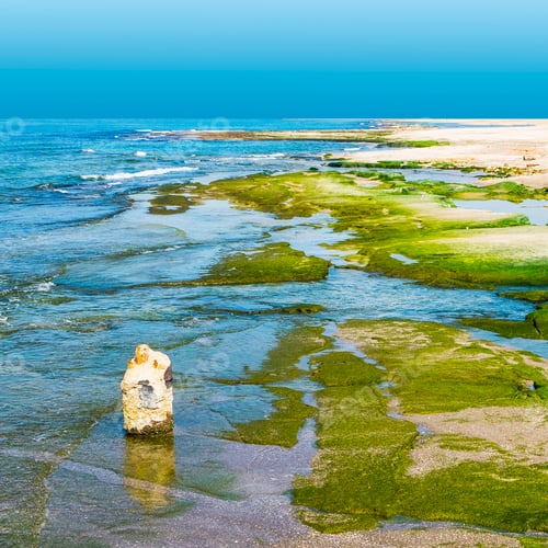 Preview: Israeli Shore Of The Mediterranean Sea. Rocky Beach In Israel