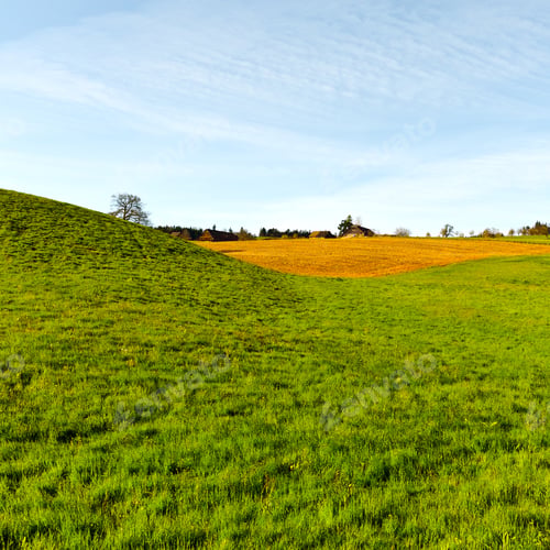 Preview: Green Pastures Around Farm House In Switzerland