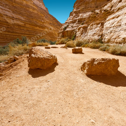 Preview: Canyon En Avedat Of The Negev Desert In Israel