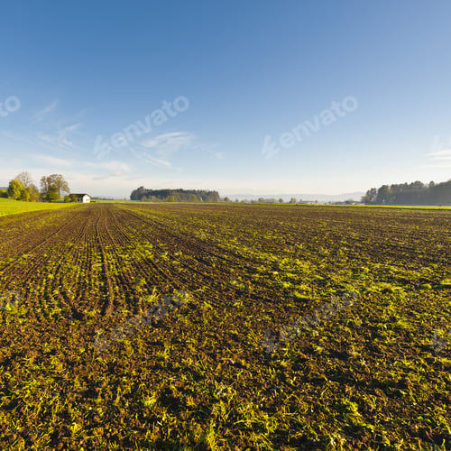 Preview: Swiss Village Surrounded By Forests And Plowed Fields. Agriculture In Switzerland, Arable Land And