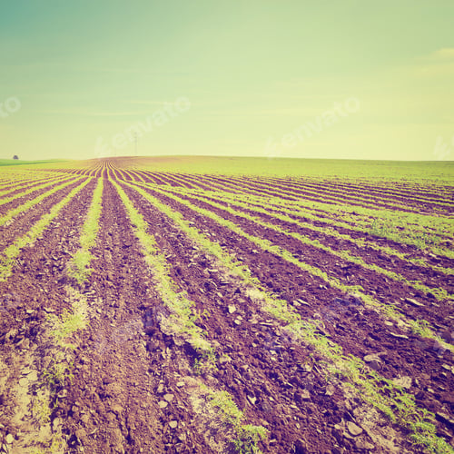 Preview: High-Voltage Power Line Passes Through The Fields In Israel, Instagram Effect