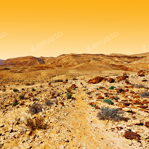 Vista previa: Rocky Hills Of The Negev Desert In Israel At Sunset