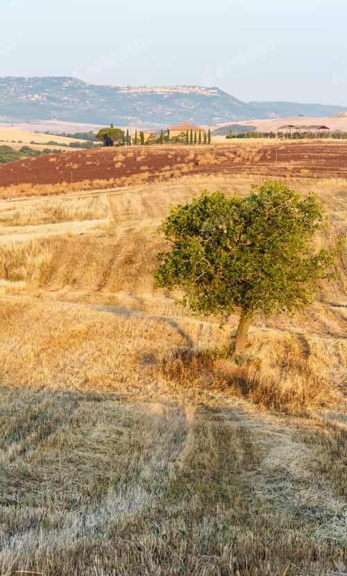 Preview: Beautiful Landscape Of Tuscany Summer Morning Sunrise Countryside In Italy.