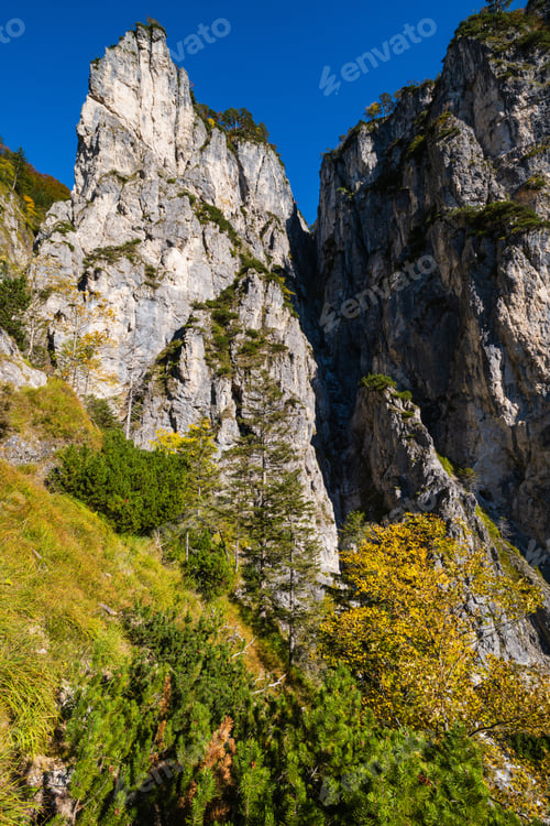 Preview: Sunny Idyllic Colorful Autumn Alpine Scene. Peaceful Rocky Mountain View From Hiking Path Near