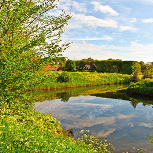 Preview: Greenwood On The Canal Bank In The Netherlands