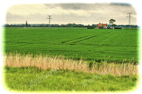Preview: Agriculture On Land Reclaimed From The See In Netherlands. Tidal Marsh And Meadows Formed By Dams