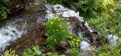 Preview: Summer Mountain Waterfall. Two Shots Stitch Image.