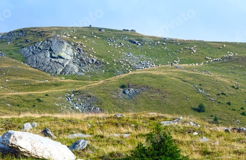Preview: Summer View From Transalpina Road (Southern Carpathians, Romania) And Flock Of Sheeps On Slope.