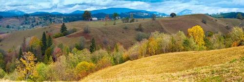 Preview: Beautiful Autumn Mountain Country Panorama (Carpathian. Ukraine).