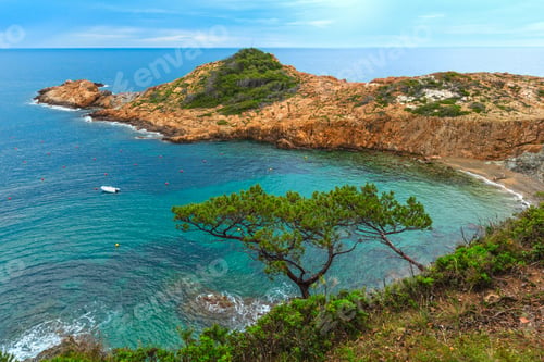 Preview: Sea Bay Summer View With Small Wild Beach And Conifer Trees In Front. Costa Brava, Catalonia, Spain.