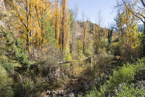 Preview: Autumn In Olba Gudar Mountains Teruel Aragon Spain