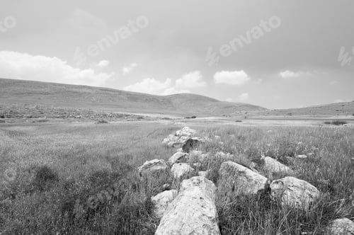 Preview: Deserted Plain In Israel In Black And White. Huge Boulders In The Middle Eastern Deserts.