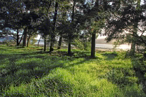 Visualização: Pôr do sol na Ilha La Toja (Pontevedra, Galícia, Espanha)