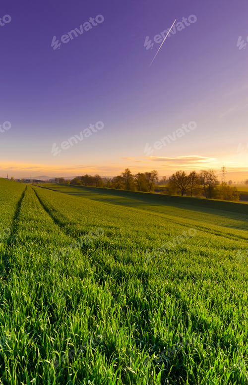 Preview: Pasture On The Background Of Alps In Switzerland At Sunset. Swiiss Landscape With Meadows Along The