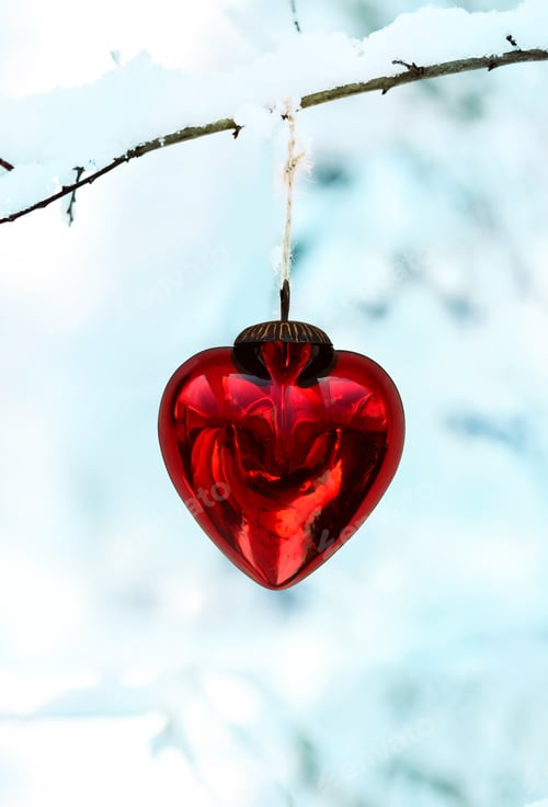 Preview: Composition With Natural Tree Branch And Red Heart. Valentine'S Day Decoration, White Snow On Blue