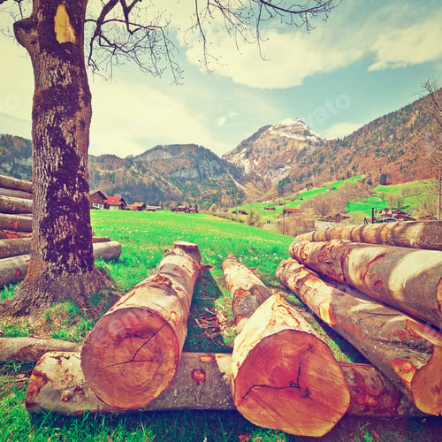 Preview: Sawed Firewood Dropped High Up In The Swiss Alps, Instagram Effect