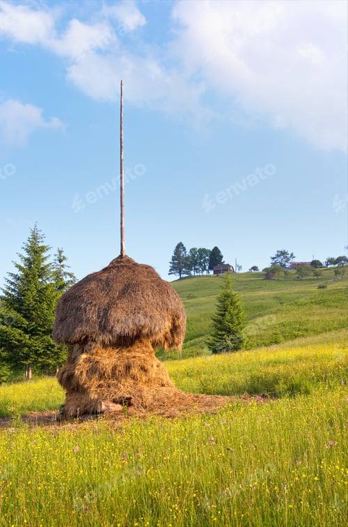 Preview: Summer Mountain Green Meadow With Stack Of Hay (Carpathian Mt-S, Ukraine).